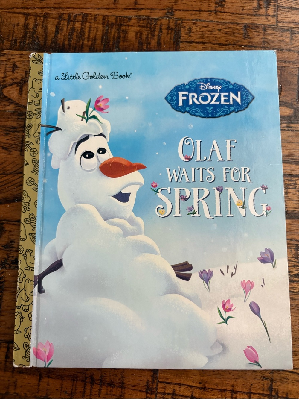 Disney Frozen Olaf Waits for Spring Little Golden Book